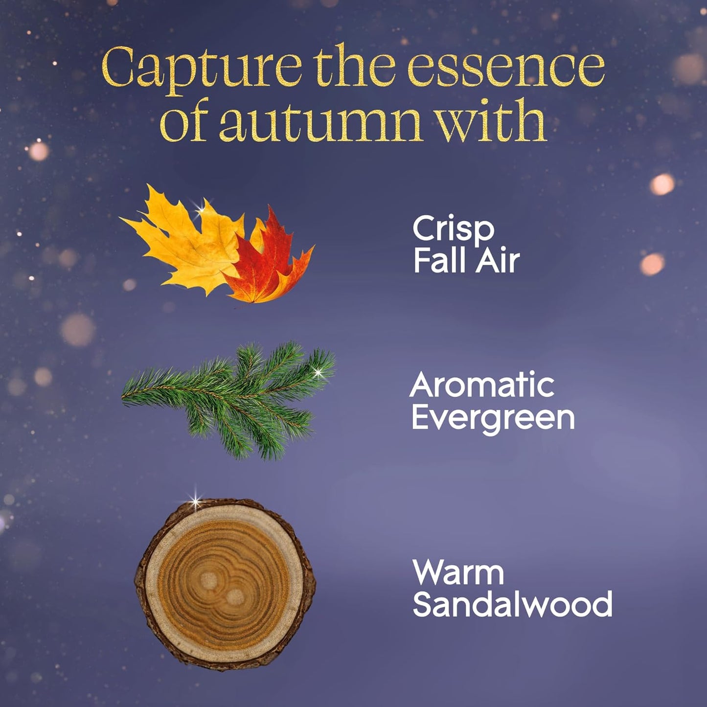 Glade Automatic Spray Refill, Embers & Sandalwood, Scented Air Freshener for Home and Bathroom, 6.2 Oz, 2 Count